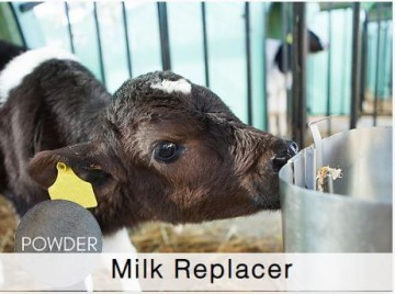 Shamrock Milk Replacer