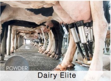 Shamrock Dairy Elite