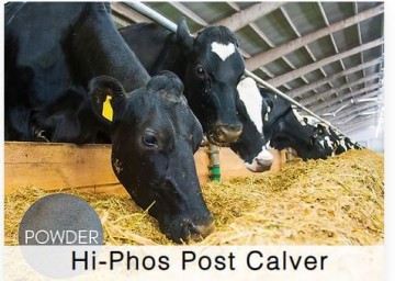 Shamrock Hi Phos Post Calver