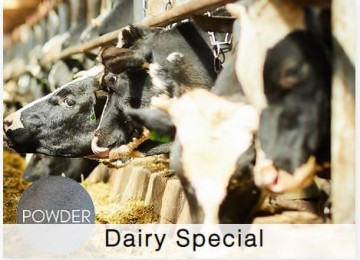 Shamrock Dairy Special Powder