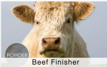 Shamrock Beef Finisher
