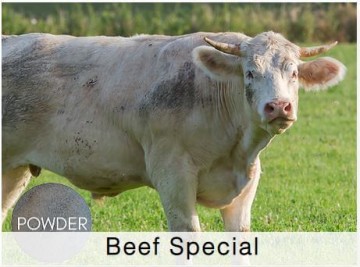Shamrock Beef Special