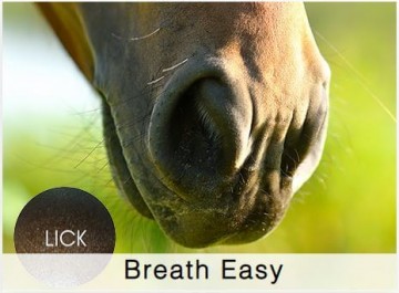 Shamrock Equine Breath Easy