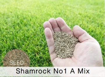 Shamrock No. 1A Grass Seed