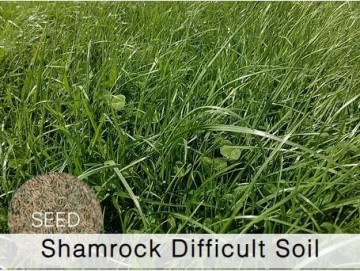 Shamrock Difficult Soil Mix Grass Seed