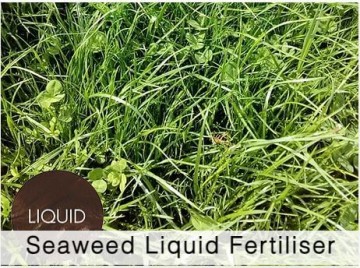 Shamrock Liquid Fertiliser