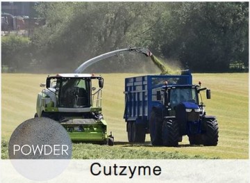 Shamrock Powder Cutzyme