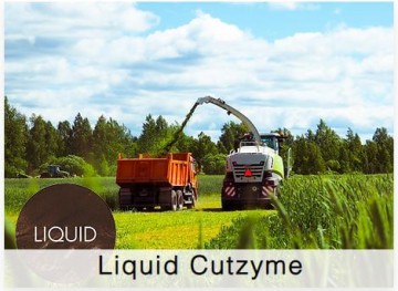 Shamrock Liquid Cutzyme