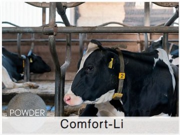 Shamrock Comfort-Li