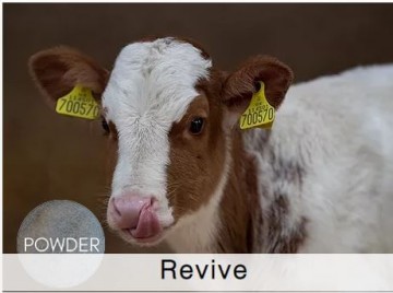 Shamrock Goats Revive