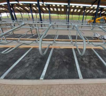 Mayo Cow Comfort Super Space Cubicle