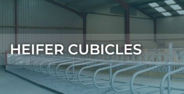 Mayo Cow Comfort Heifer Cubicle