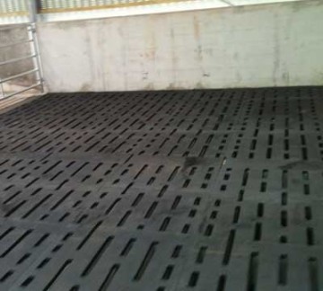 Mayo Slat Mats