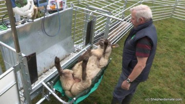 Shepherdsmate Rollover / Turnover Crate