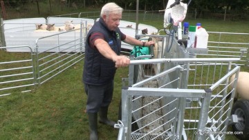 Shepherdsmate Drafting Gate