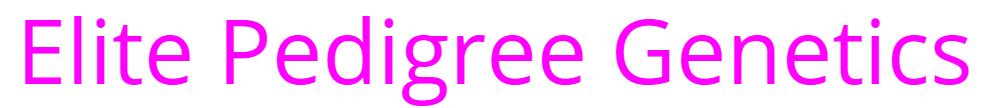 Elite Pedigree Genetics
