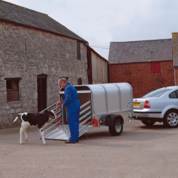 Ifor Williams P7e 7x4 H/R Livestock Trailer